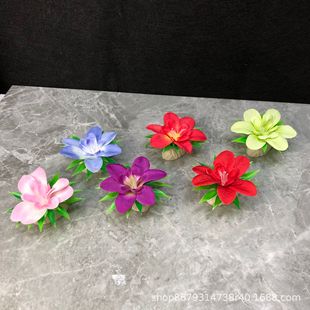 �Ƶ�[�P�b���˾����С�[���⾳��˄���[�P�b��������m��