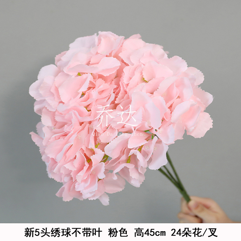 New 5-head hydrangea without leaves