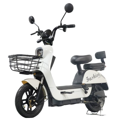 Auto Parts and Accessories: Diàndòngchē Adult Transport