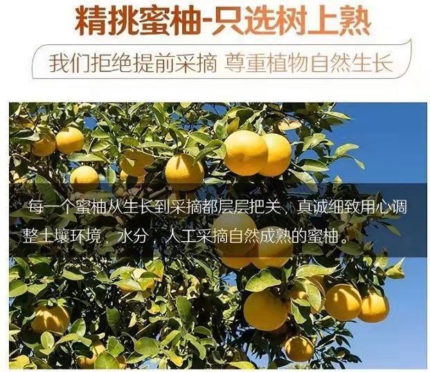 微信圖片_20220820180116