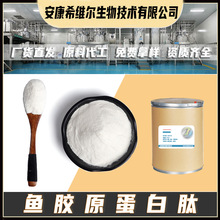 小分子活性肽 鱼胶原蛋白 鱼胶原蛋白肽 鱼胶原蛋白粉 现货包邮