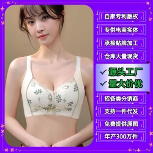 Cross-Border Southeast Asia Export Wholesale Tk/Ozon Wire-Free Women's Intimates Adjustable Bra Lace Bra 011