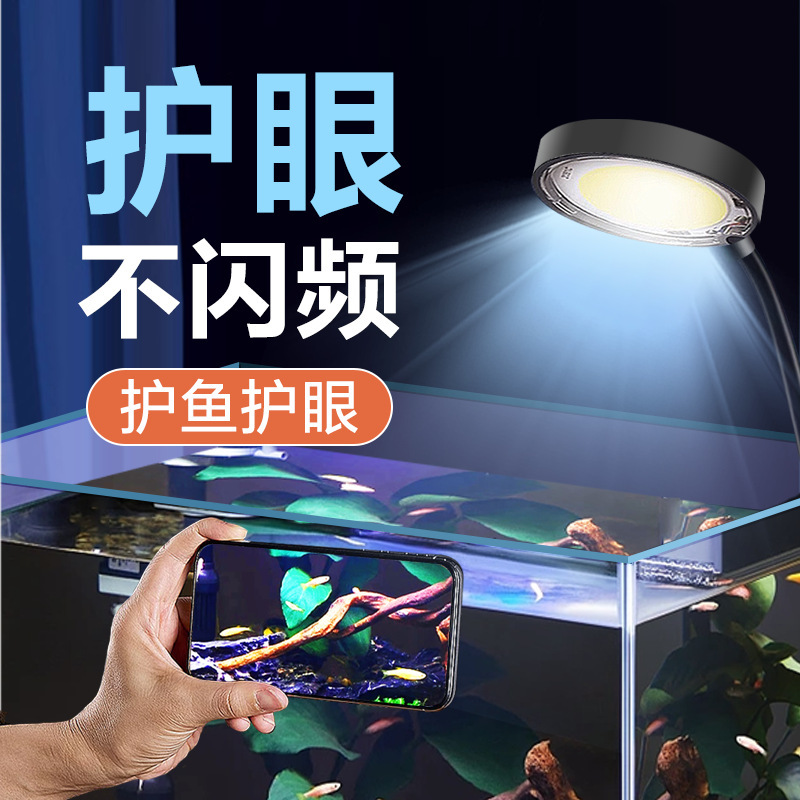 Small Fish Tank Clip-On Light, Specialized Aquatic Plant Light for Small Fish Tanks, Betta Tank Light, Mini Plant Supplementary Light, Led Light, Splash-Proof