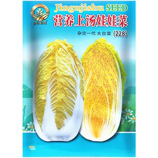 �s�����޲˷N�� �I�B�Ϝ����޲� �S�Ĵ�ײ���@�r���߲˷N��10��