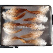 厂家供货5-6英寸 红永毛鸡毛自然色泳羽毛 可染色婚庆舞台配料