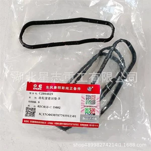 C2864829 Hubei Xingzhi Daxili Yanma Mühərrikləri, Mühərrik Komponentləri, Ötürücü Kamera Contası