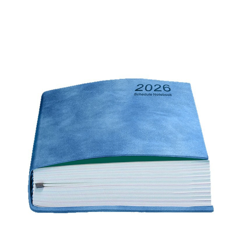 日程本2026年计划本表一日一页自律打卡效率手册每日历记事本定制|undefined