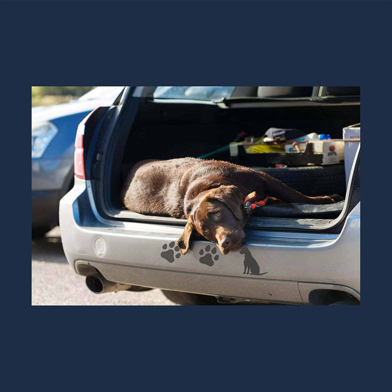 Etiqueta engomada del coche de la huella de Amazon gato perro animal tallado etiqueta engomada del coche negro se puede personalizar