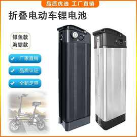 银鱼海霸款代驾折叠电动自行车锂电池48V10ah通用型大容量电瓶