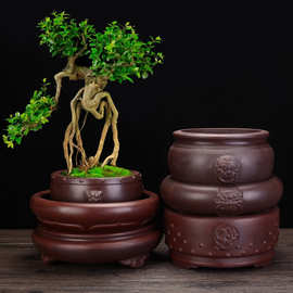 紫砂花盆无孔水培植物客厅桌面吸水铜钱草碗莲水仙金钱草专用批发