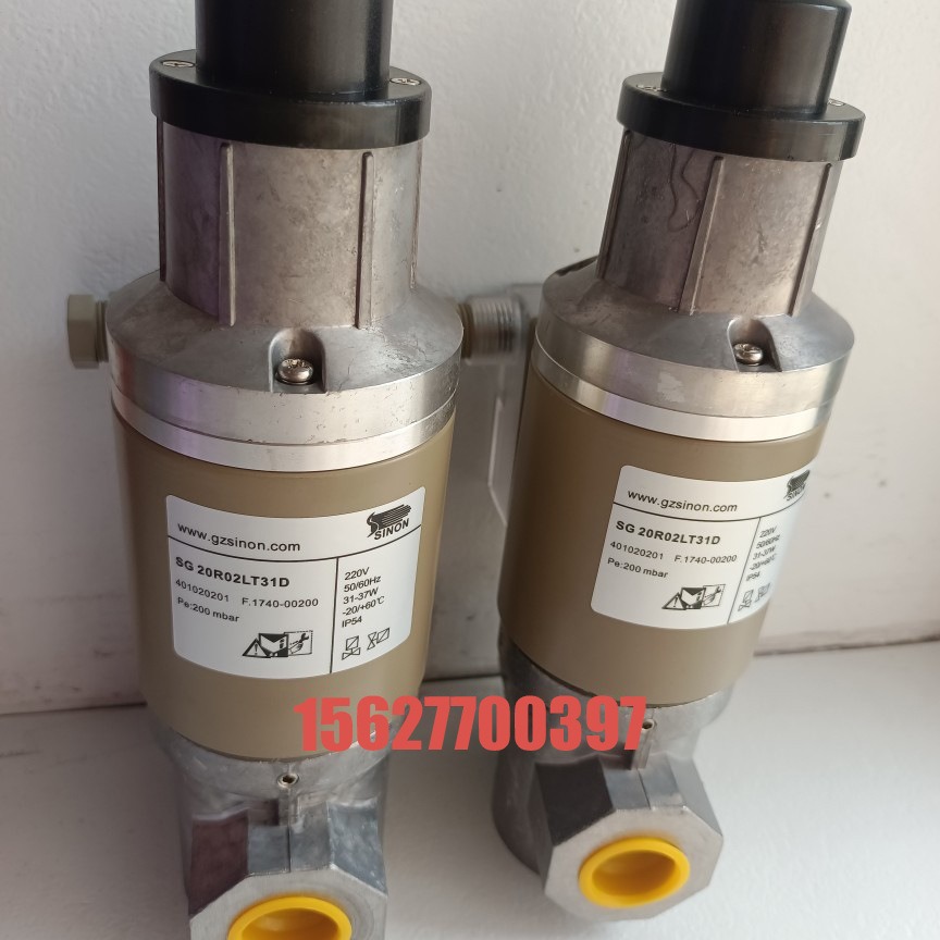 SG15RS/220施能慢开电磁阀SG20RS/220 SG15R02LT31D SG20R02LT31D