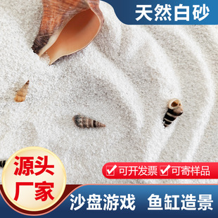 Manufacturer Supplies Spot White Sand Ashtray Fire Extinguishing Sand Table Game Fish Tank Landscaping White Stone Decorative Sand Capsuless White Sand