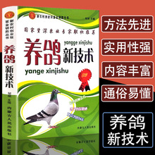 正版养鸽新技术鸽子养殖技术书大全书籍鸽子常见病养鸽设备饲料配