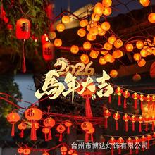 新年红灯笼灯串太阳能防水LED装饰灯福字灯笼庭院布置氛围感串灯