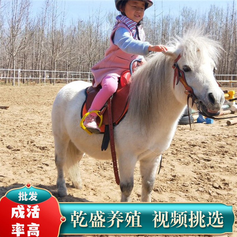 lQDPJwl2vf2oJLnNBLDNAqOwR-jhhL