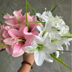 ���滨��֧�ٺϻ������OӋ�[�Ǫ���ٺϻ����ϻ�