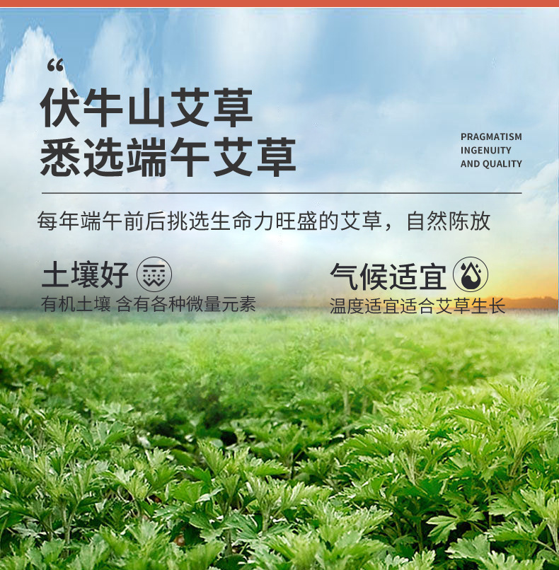 Mugwort Clear-Damp Navel Patch Qing Shi Tie Warming Self-Heating Moxa Sticker with Qi Ai and Ginger 5 Patches per Box key features