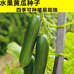 ˮ���S�ϷN�ӷN������������ϼ޽Ӵ�ȫС�����������S�σ��N