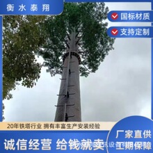 �S������䓽Y���������������ᘷ�����ͨӍ������ͨӍ��