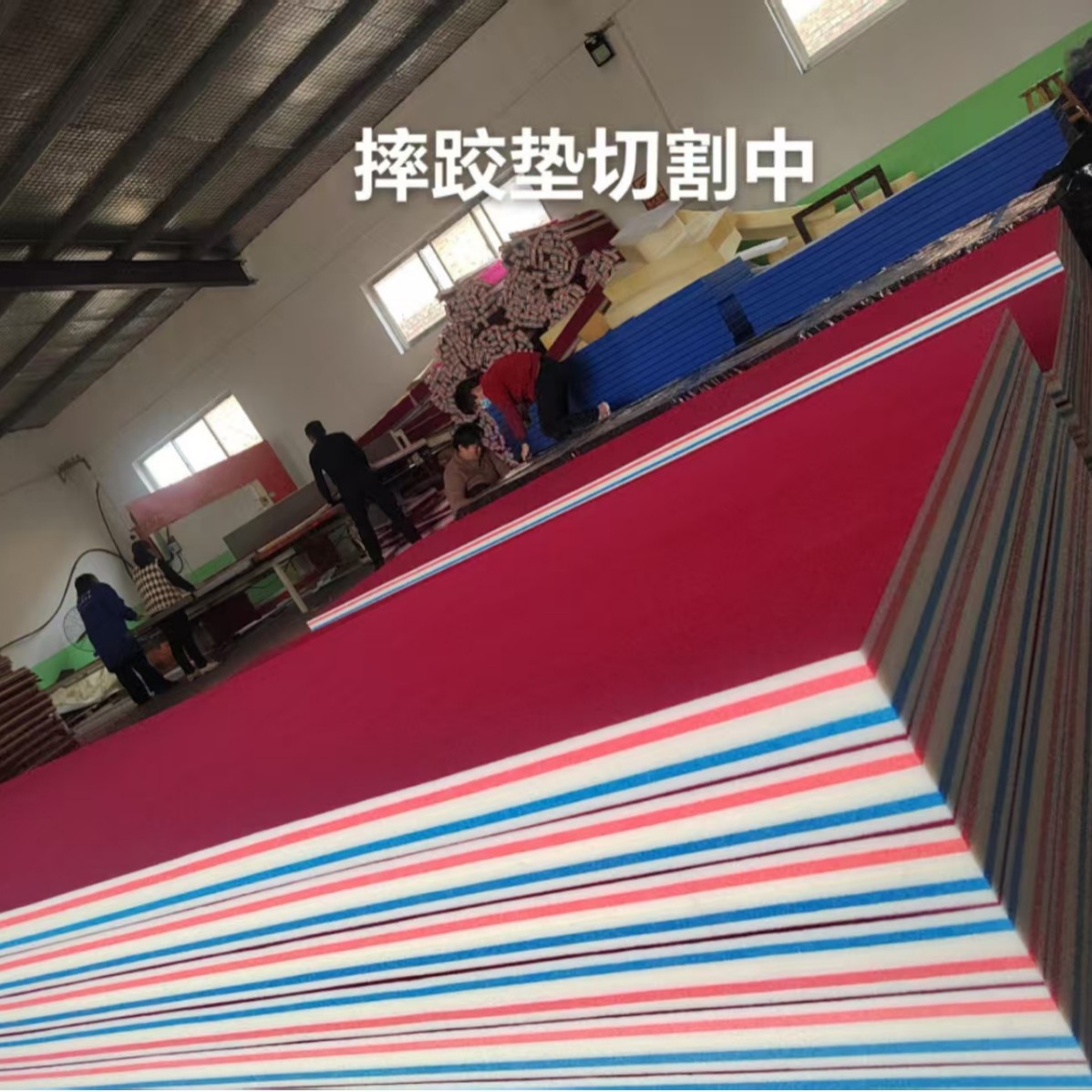 Wrestling Mat Xpe, 5-Layer Foam Honeycomb Mat, Good Rebound, Shock Absorption, Good Foot Feel