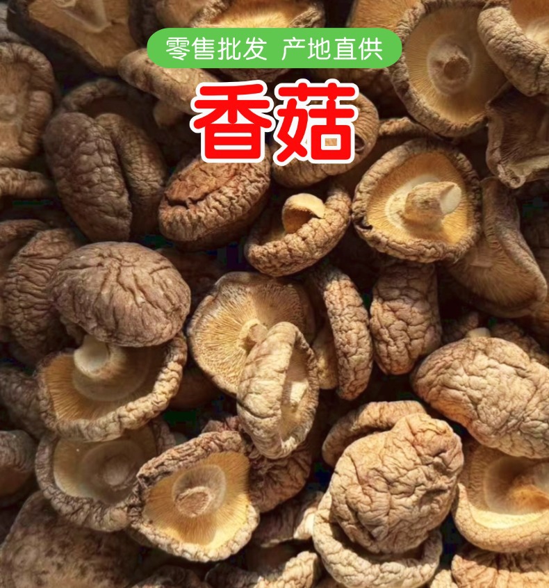 Dried Shiitake Mushrooms Whole Thick Caps Stemmed 500g for Soups and Braises overview