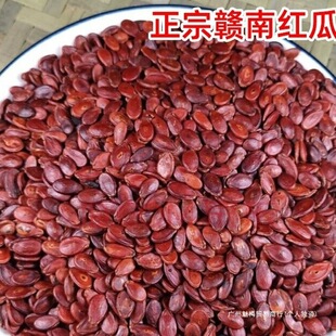 �����t�������r�����������������S����ɢ�b�r����؛�M���خa��ʳ