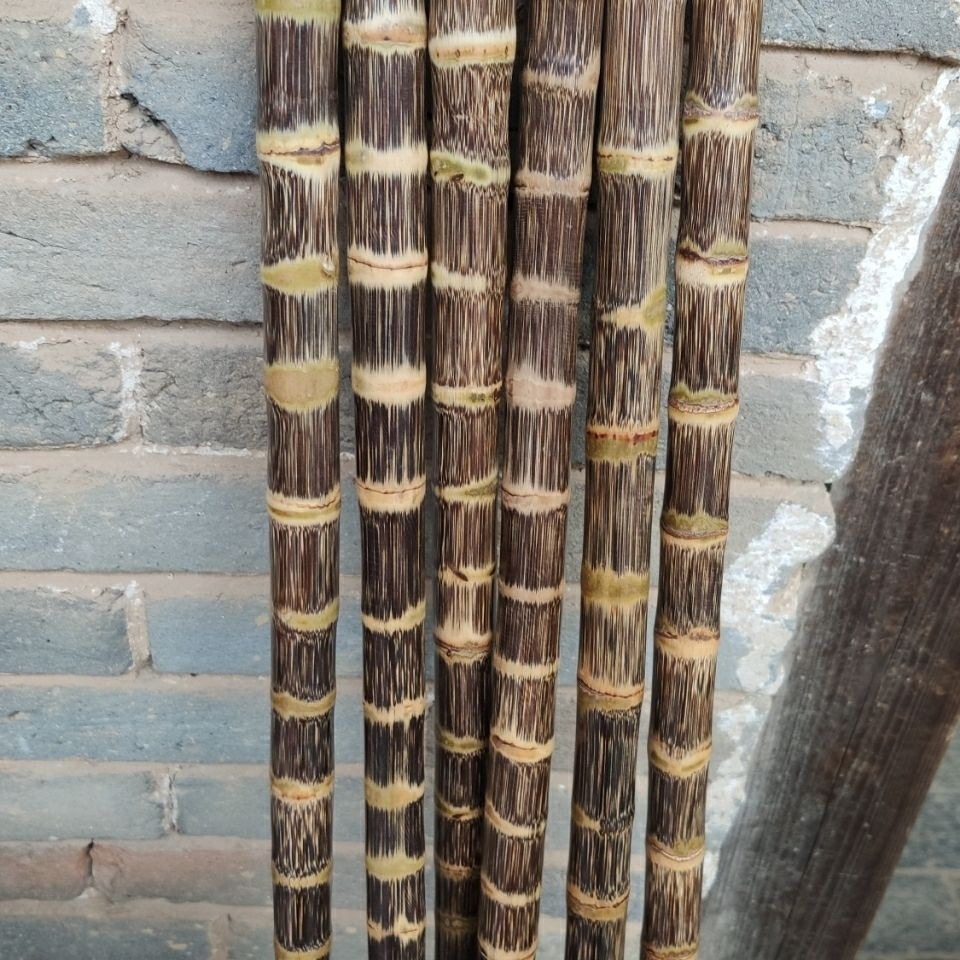 6a33c9a0-5eb3-4006-8141-0fafdfa1edc9.jpe