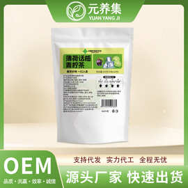 水果冷泡茶薄荷话梅青柠茶袋装独立包装组合花果茶水果茶批发茶叶