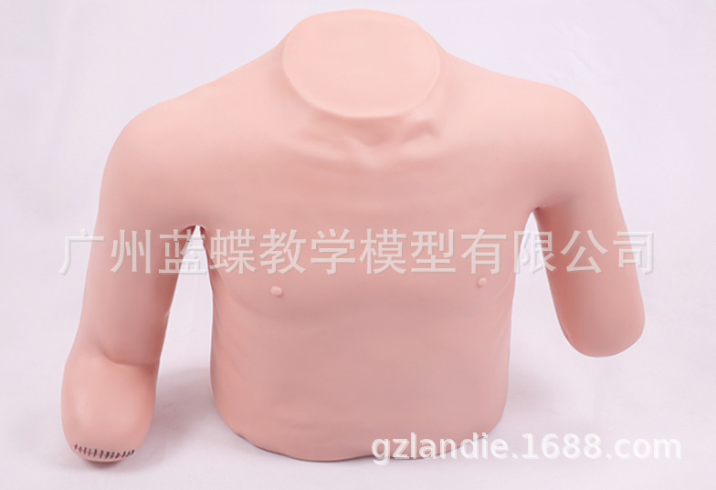 ��λ����ģ�� ҽ�ð���չʾģ��ѵ��ģ������ʾ����������֫��֫