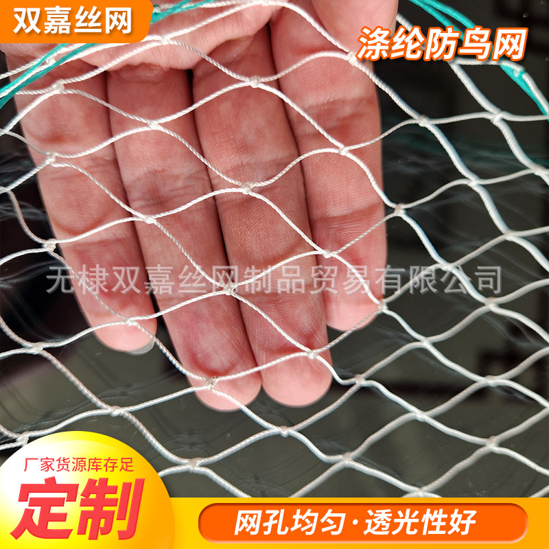 白色2cm×2cm涤纶防鸟网  苹果园防虫网 30平方结实耐用防鸟网