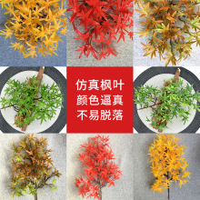 仿真精品小枫叶树枝仿真植物塑料假花红枫鸡爪五角枫绿植摆件装饰