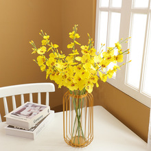 ����5�������m �Sɫ�ٻ������m���� �Ҿ��bƵ�[�����������l