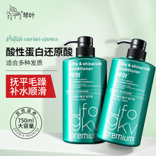 ���~�����Žz߀ԭ���o�l���^�l�o��ˮ���ذlĤ��Ůʿ���l�����B˪