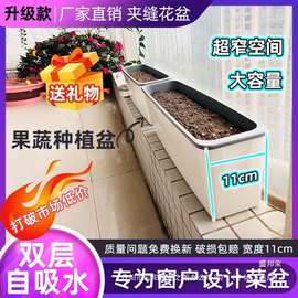 厂家超窄长条花盆储水窗台种植盆家庭蔬菜箱长方形花箱