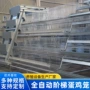 清粪自动自动化养鸡蛋鸡笼