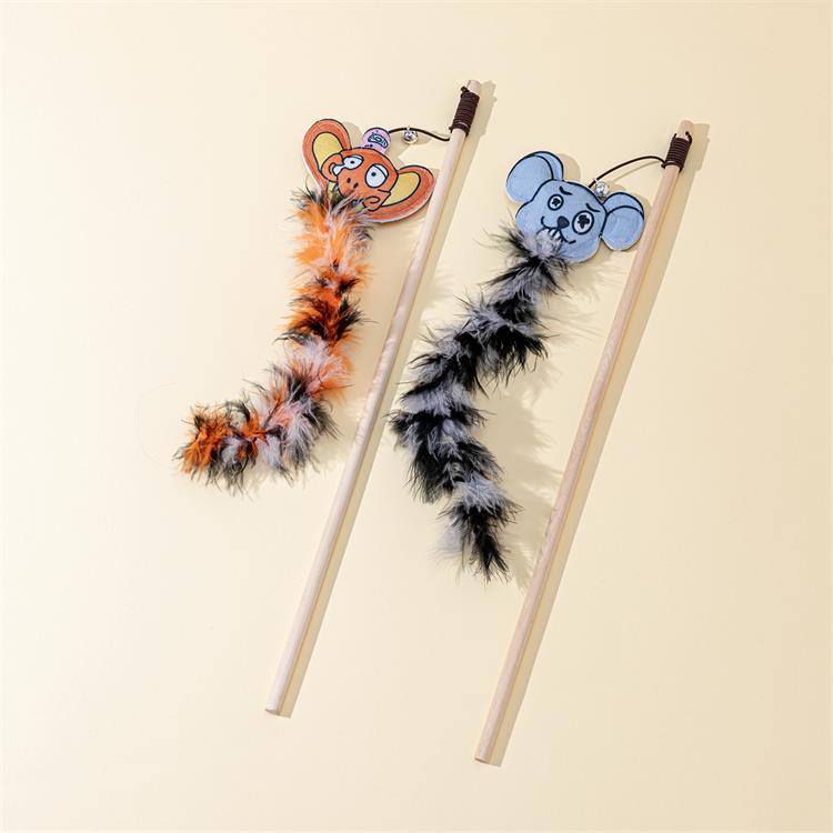 zIMG_6453 - 副本_1