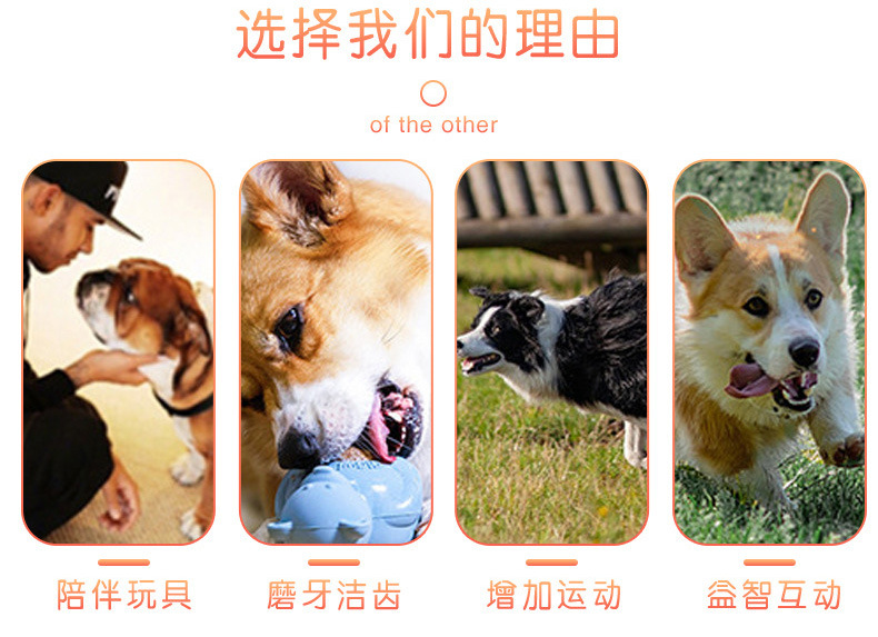 详情页