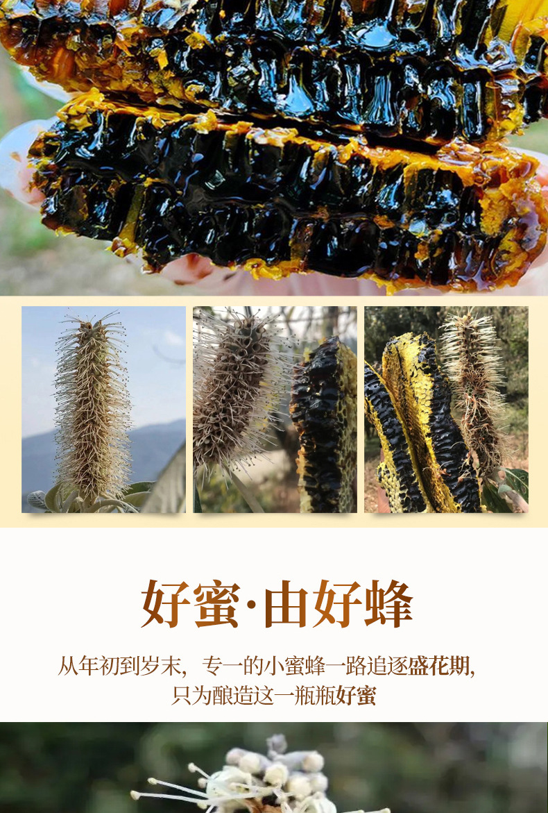 5872e888293a98a09f57c799409a13