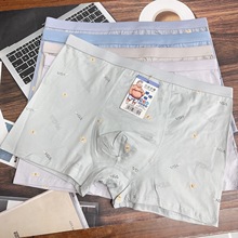 超大码肥佬男内裤60支皮马棉四角内裤男胖加肥加大版男士内裤批发