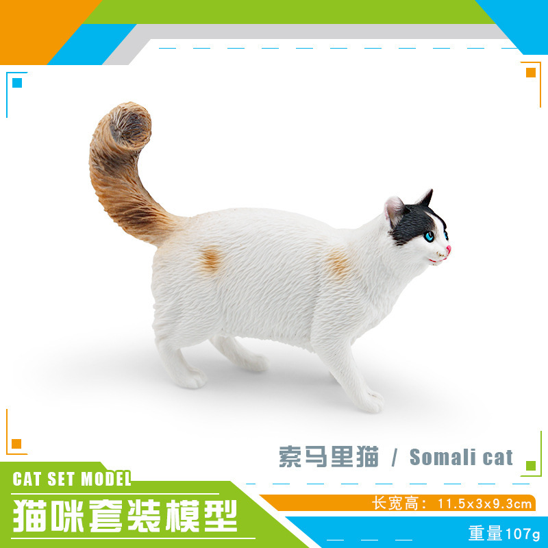Pl127 - 3660 somalí CAT 107g