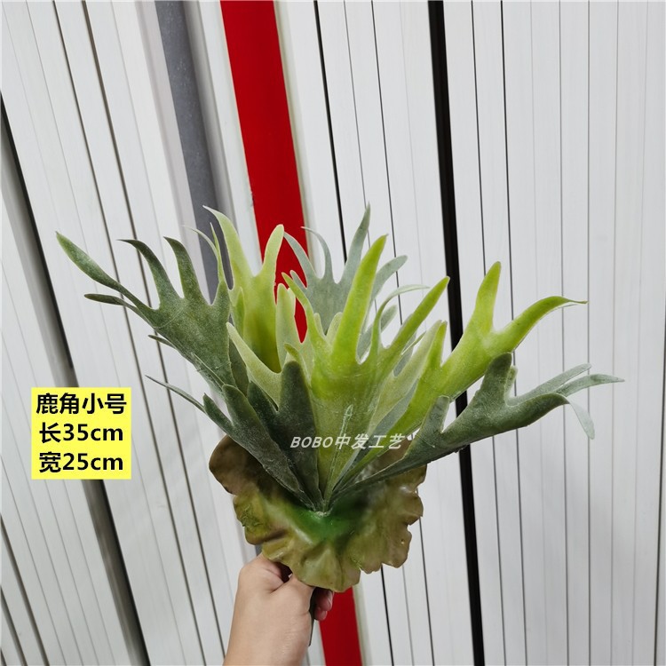 Antlers의 스몰 사이즈