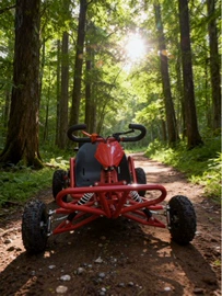 沙滩车;碰碰车卡丁车