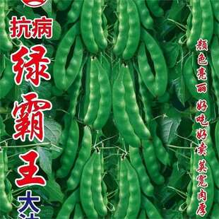 �G������ſ�ܴ��Ͷ��N�ӟo��o�����|�����Ͷ��N�Ӵ���ɼ��N��