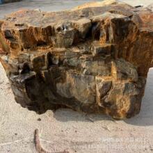 ��Ȼľ��ʯƬ�[��ľ��ʯ�仯��ԭʯ��Ƭ�����ﻯʯ�Ҿ��k���豭�|