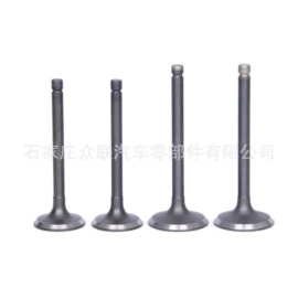 气门及部件;气门部件;油封