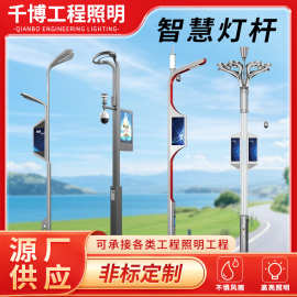 智慧路灯城市监控充电广播综合多功能灯杆新农村建设智慧路灯