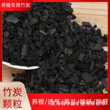 ��̿�w��ȥ����ȩ�����m�����Ի��ܾGֲ�N������͸����|ֲ�ϻ���