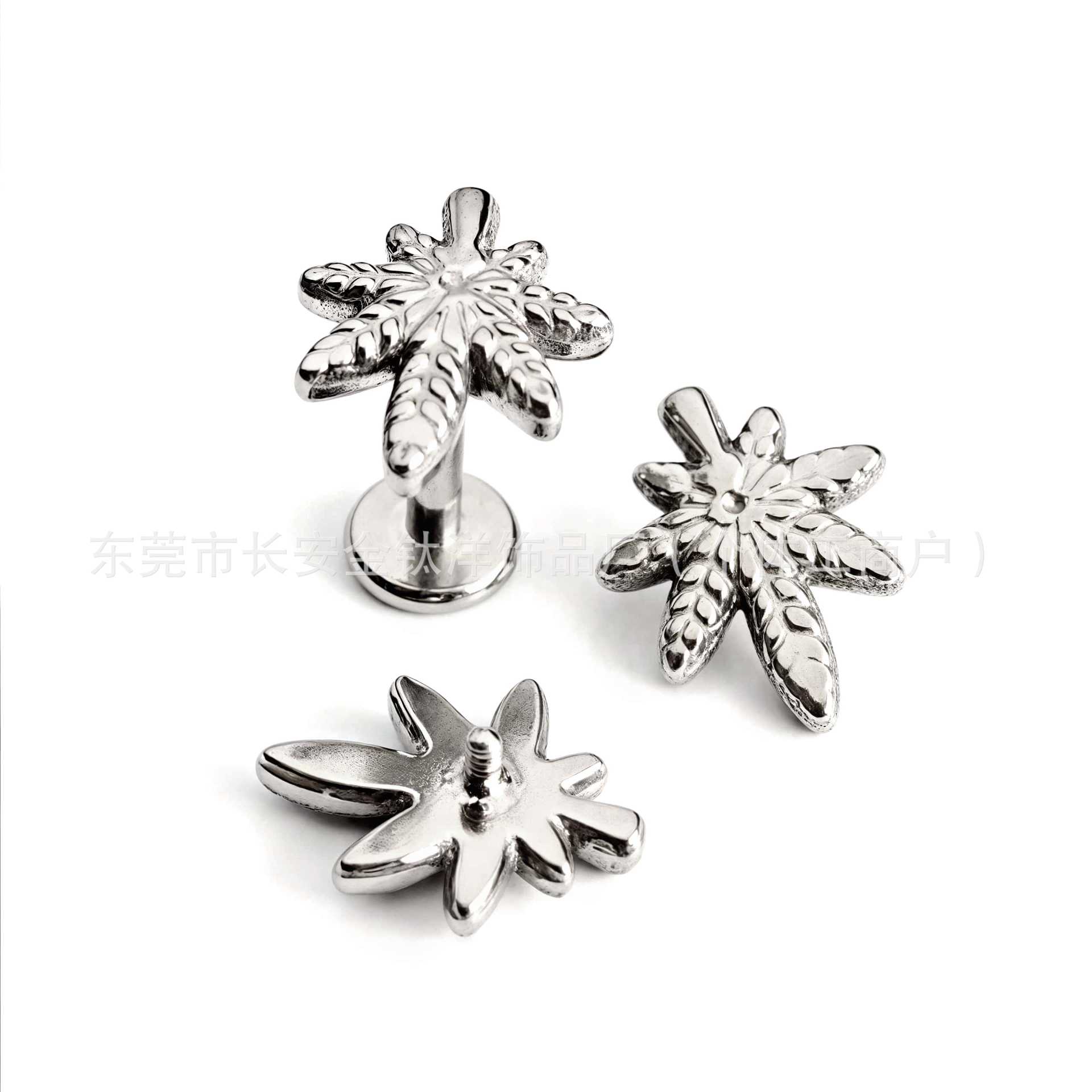 Labret piercing jewelry detail image