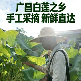 竹笋类;莲子;米粉米线