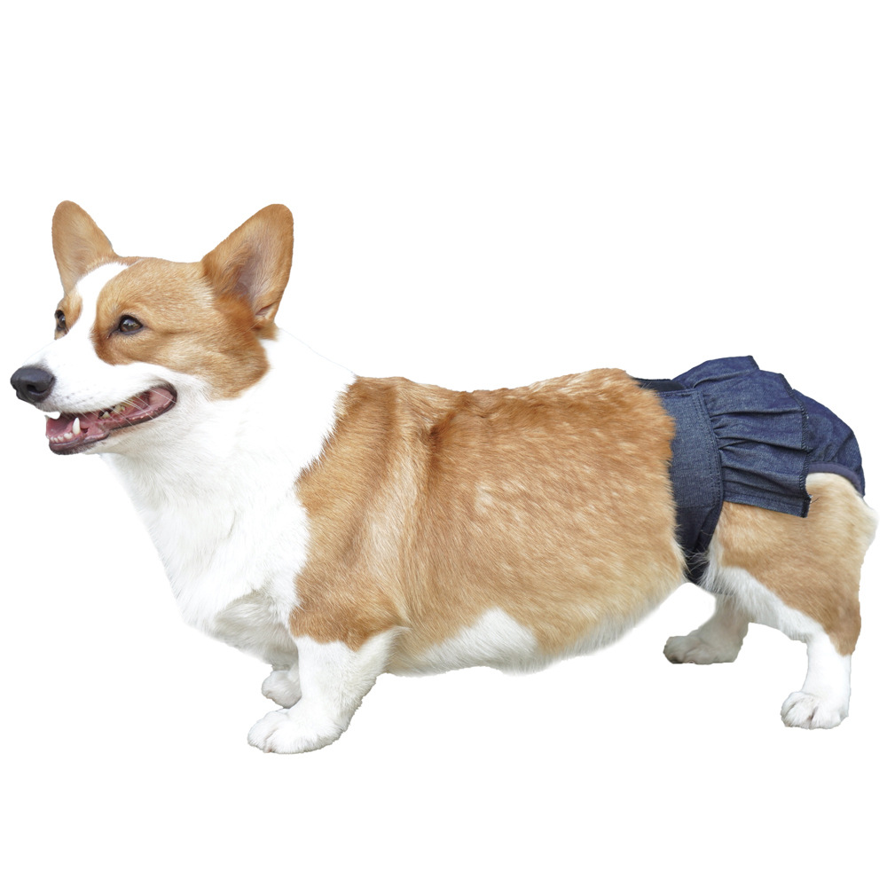 Pet Physiological Pants for Female Dogs to Prevent Pregnancy, Teddy Corgi Pet Physiological Pants, Female Dog Menstrual Pants, Dog Underwear Wholesale
